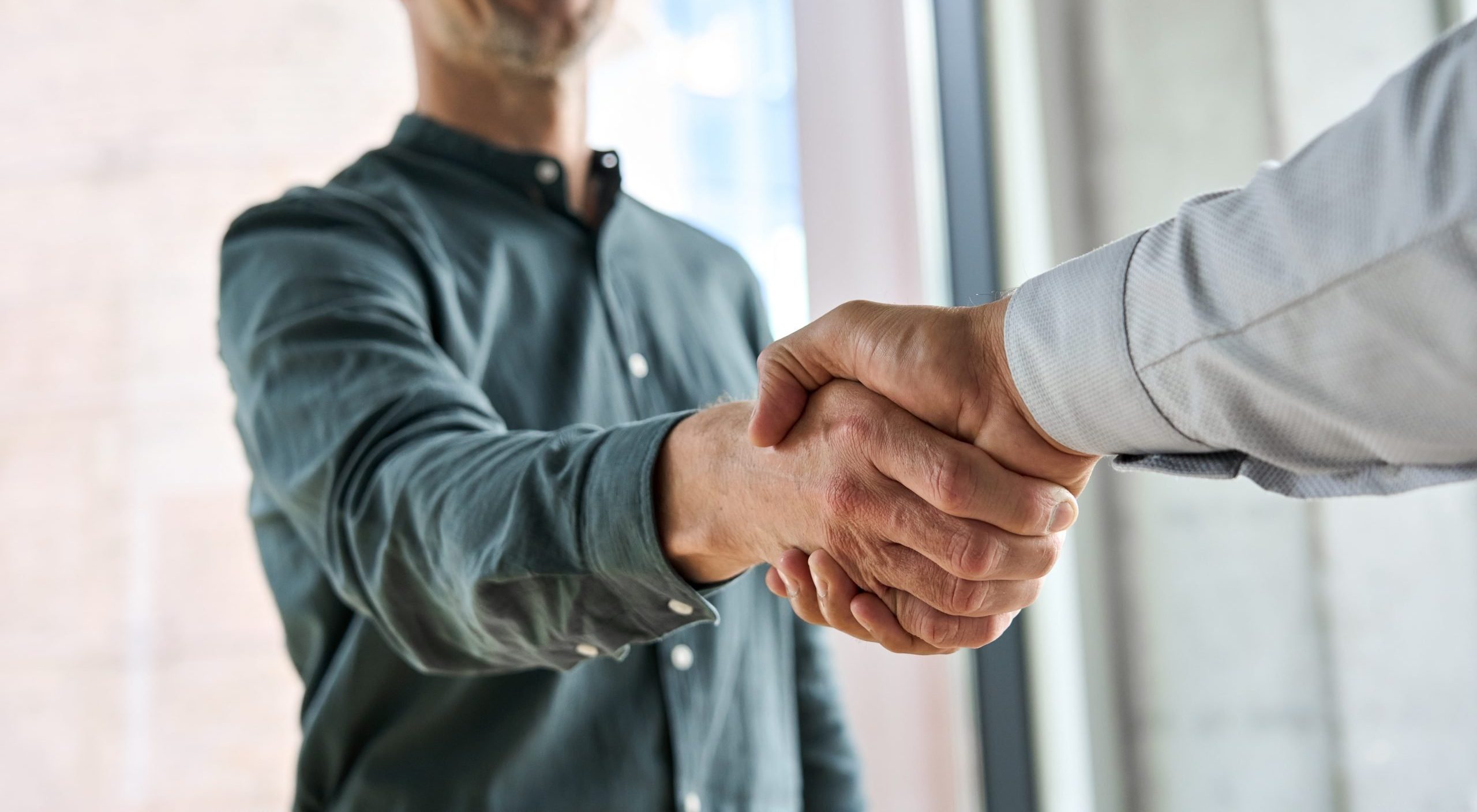 Two people shaking hands